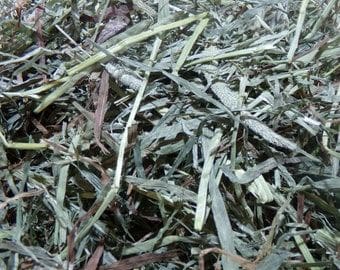 A pile of grass that is in the dirt.